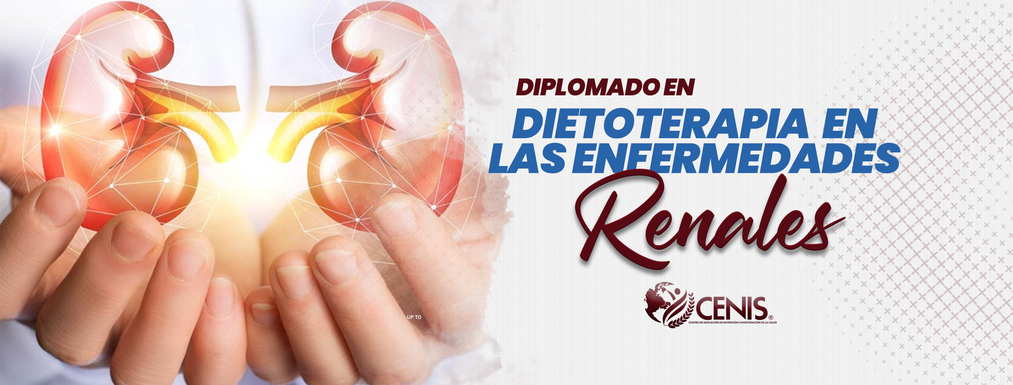 C2.- DIETOTERAPIA EN LAS ENFERMEDADES RENALES