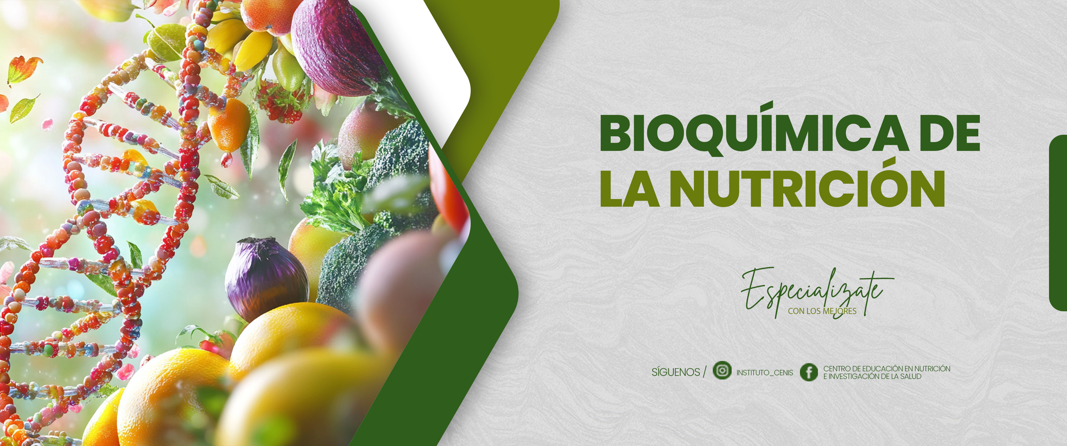 C3: BIOQUÍMICA DE LA NUTRICIÓN