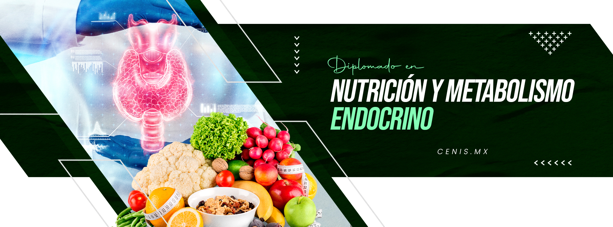 NUTRICION Y METABOLISMO ENDOCRINO 