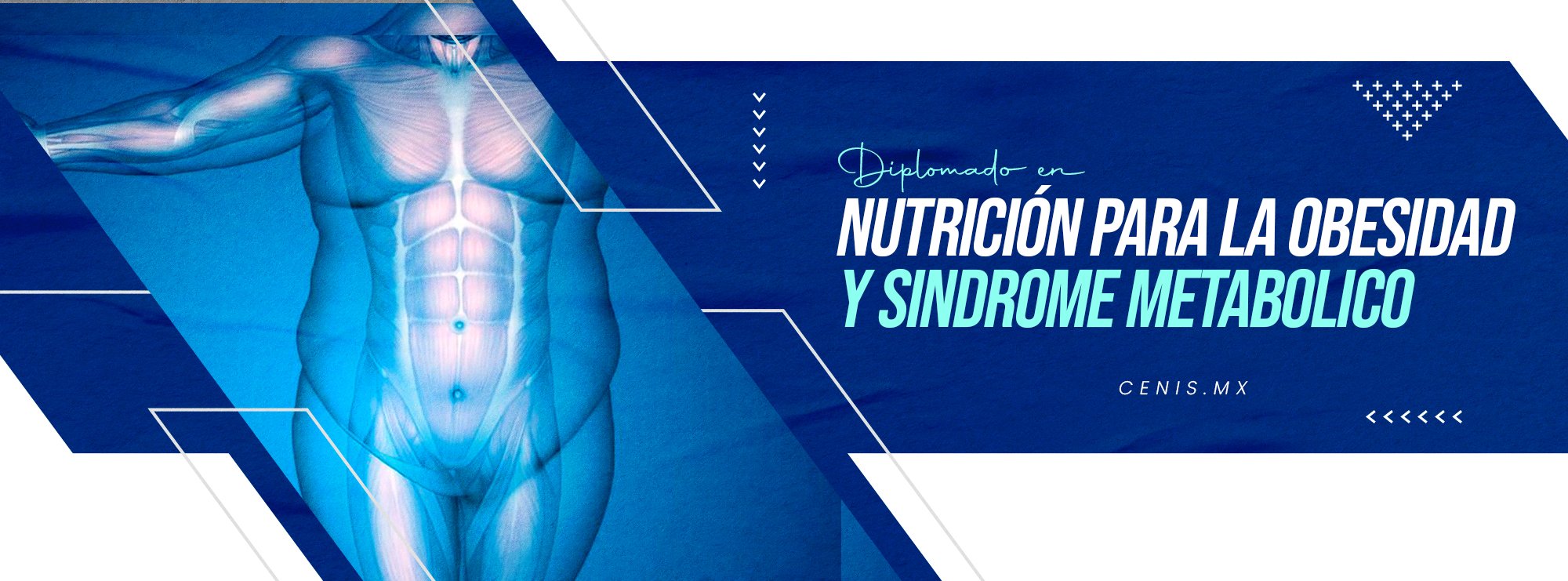 NUTRICION PARA LA OBESIDAD Y SINDROME METABOLICO 